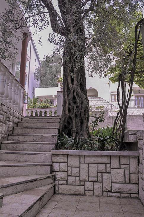 Vila Mila Petrovac المظهر الخارجي الصورة